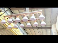 فروش داغ قوطی کوکی سنگدان قوطی پلاستیکی با قیمت پایین